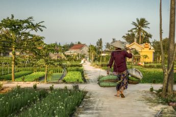 tempat wisata terbaik di Hoi An Vietnam