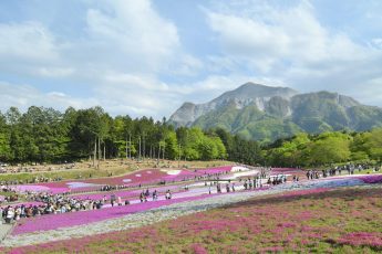 tempat wisata terbaik di Saitama Jepang